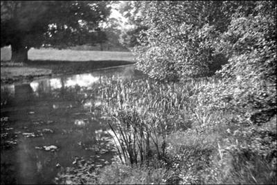 057 Dorothy Vassar-Smith Album c1920 &copy; CKLHS