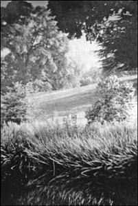 075 Dorothy Vassar-Smith Album c1920 &copy; CKLHS