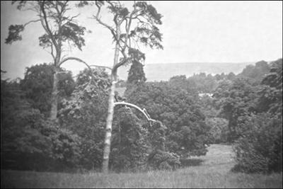 080 Dorothy Vassar-Smith Album c1920 &copy; CKLHS