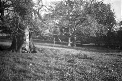 081 Dorothy Vassar-Smith Album c1920 &copy; CKLHS