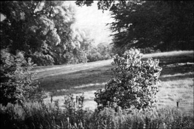 082 Dorothy Vassar-Smith Album c1920 &copy; CKLHS