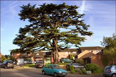 128 King George Close 2008 &copy;David Hanks